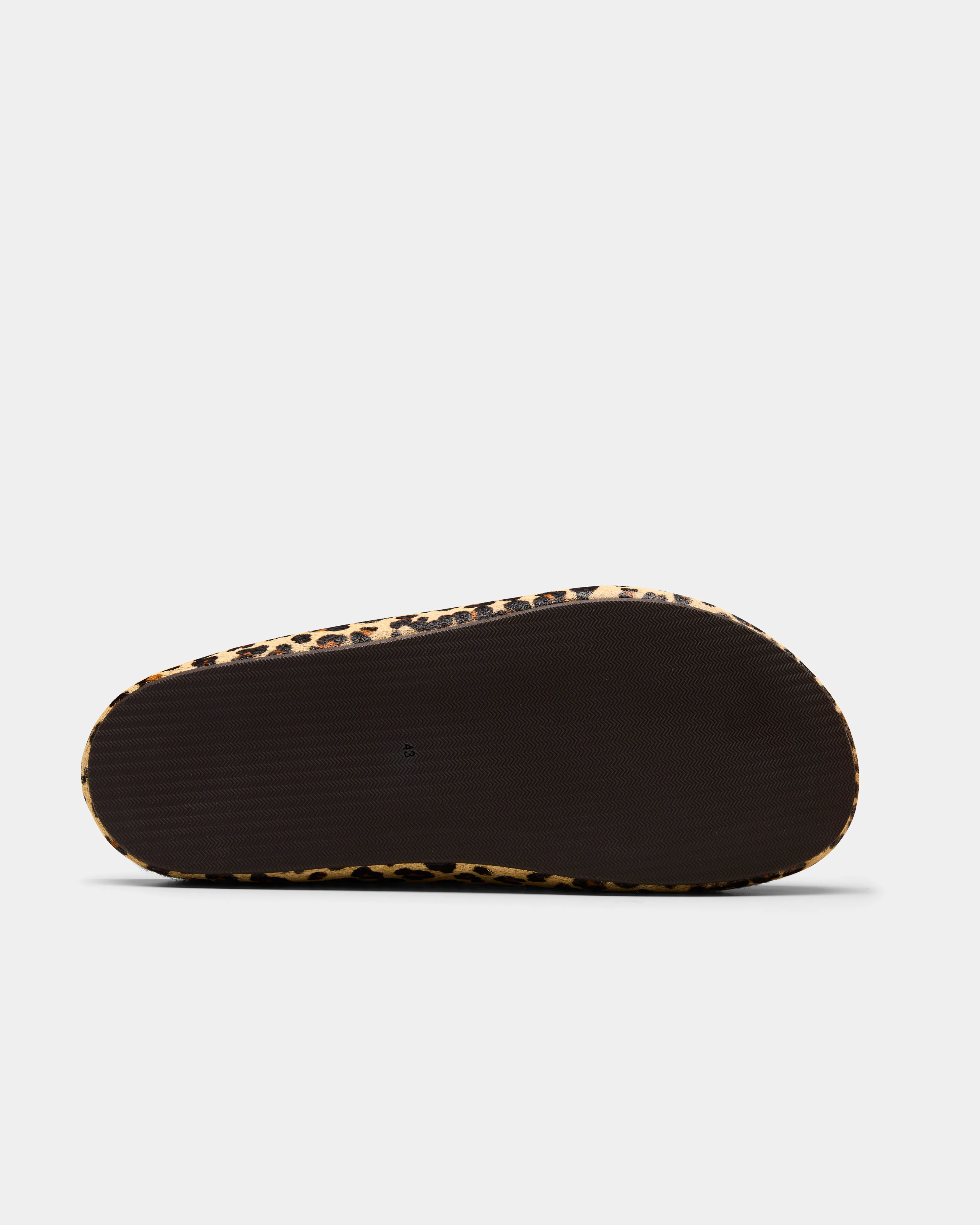 DONNIE - Image 6